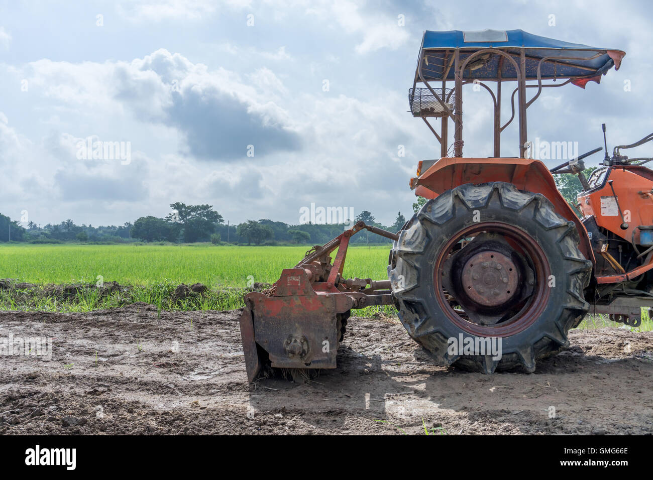 Tractor in a rice field Stock Photo