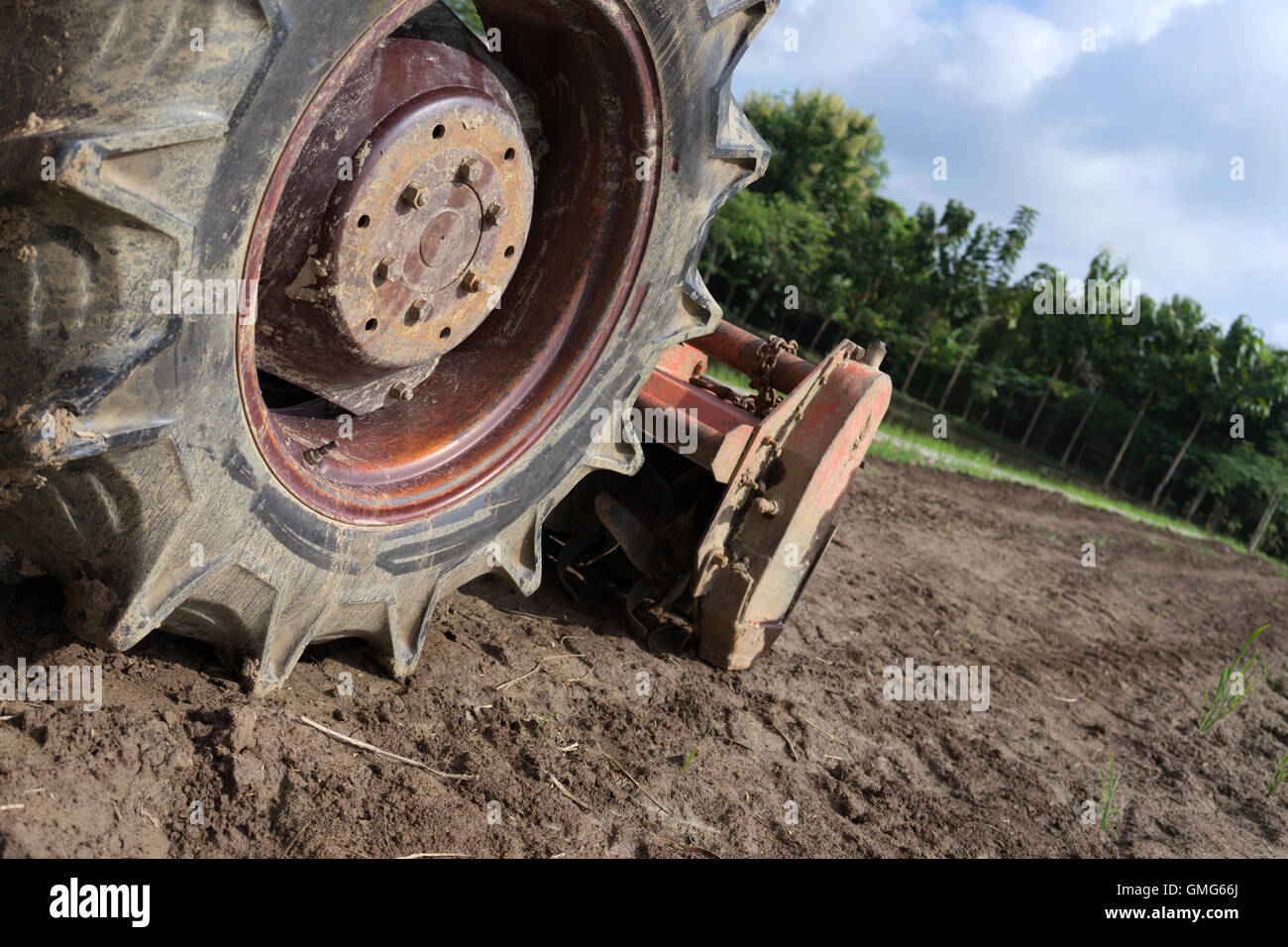 Tractor in a rice field Stock Photo