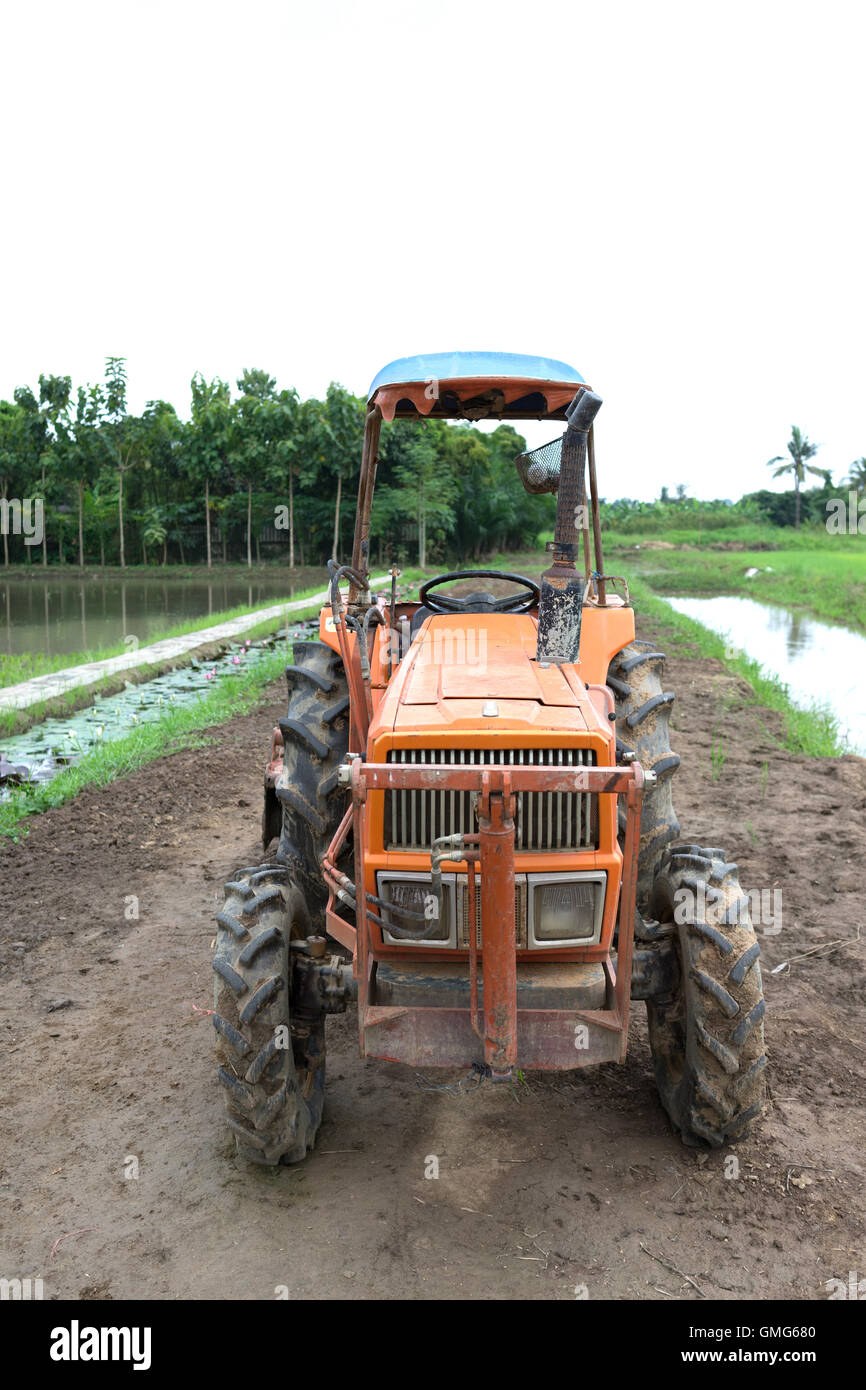 Tractor in a rice field Stock Photo