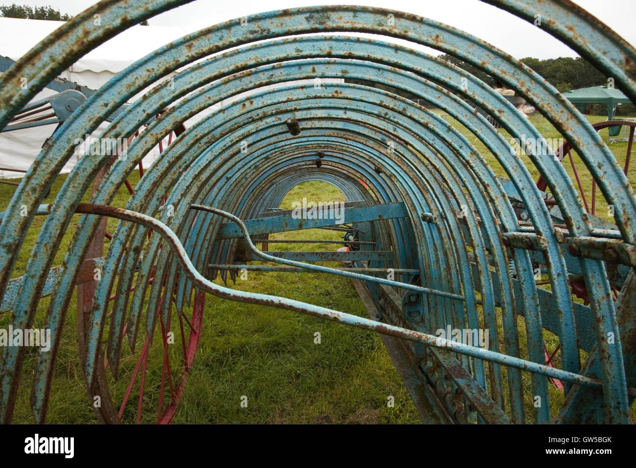 Vintage Hay rake.blue and rusty Stock Photo