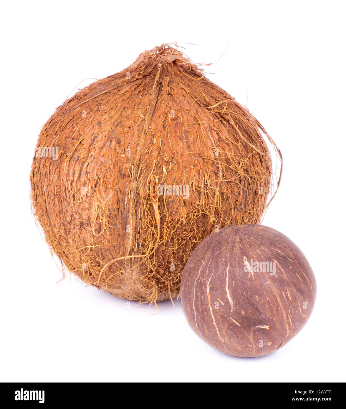 Coconuts Stock Photo