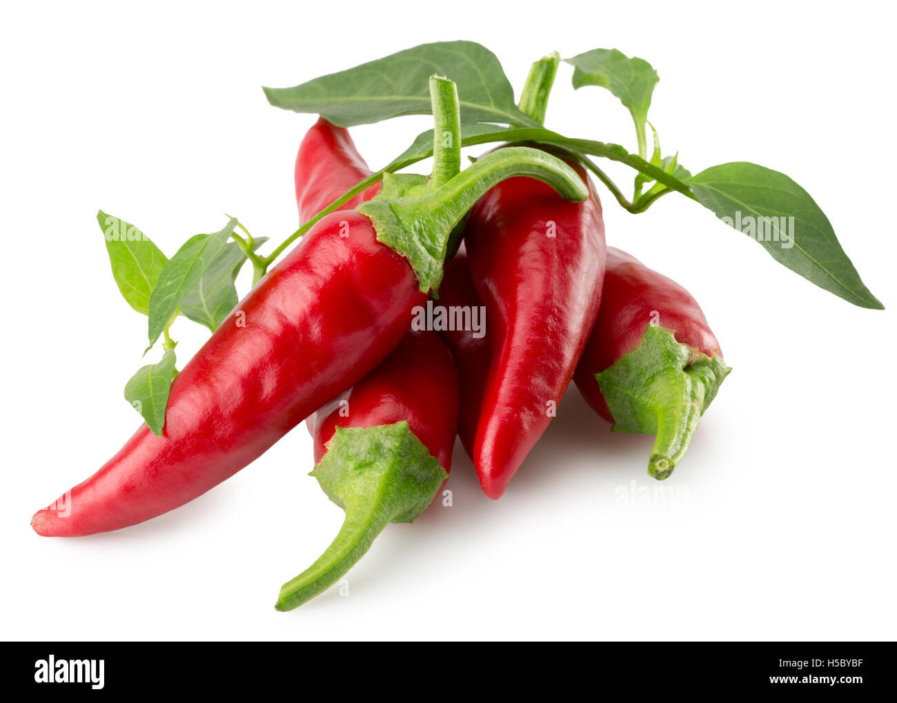 chili pepper isolated on the white background. Stock Photo