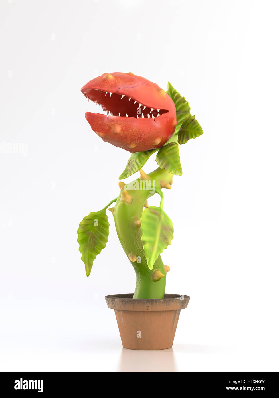 Carnivorous plant in pot Stock Photo