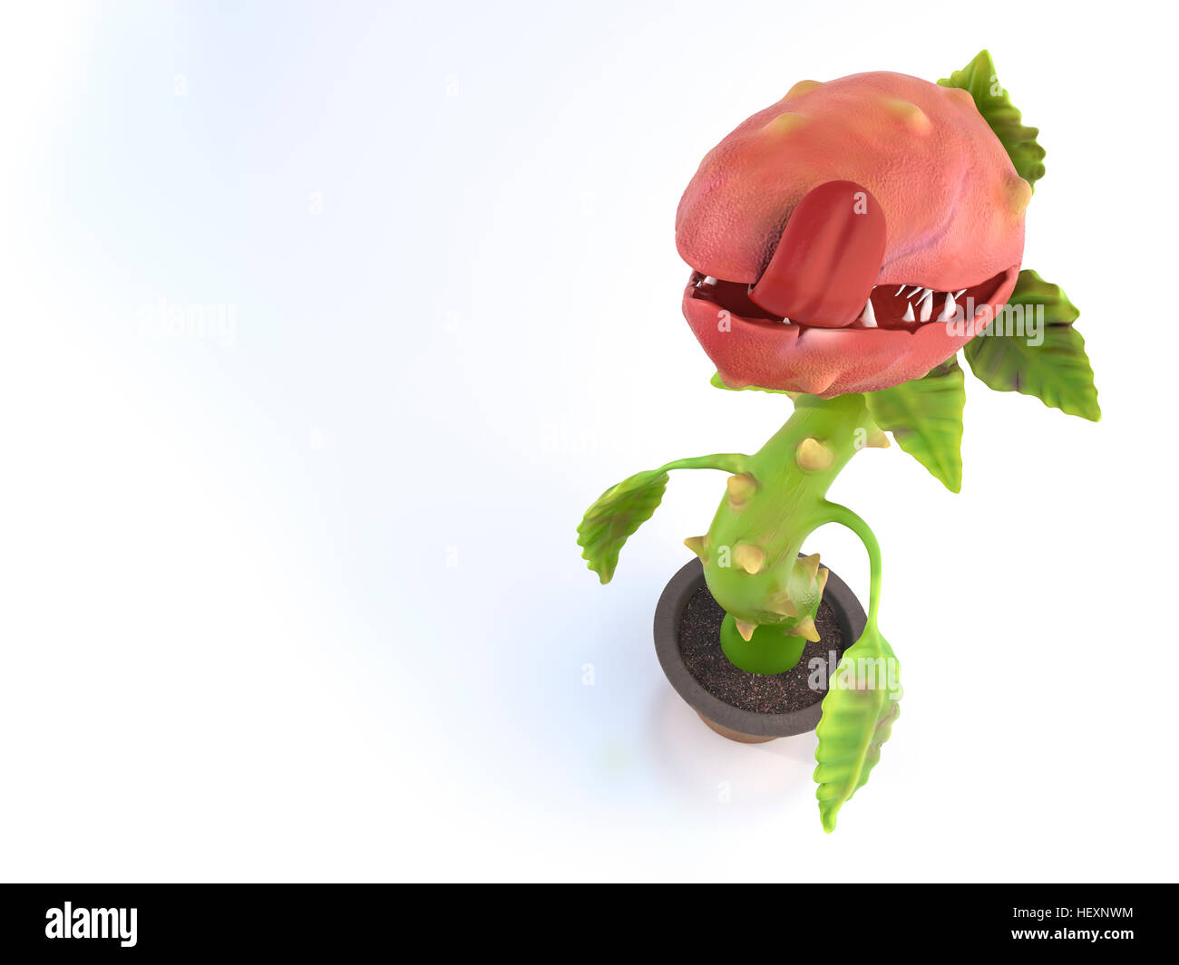 Hungry carnivorous plant Stock Photo