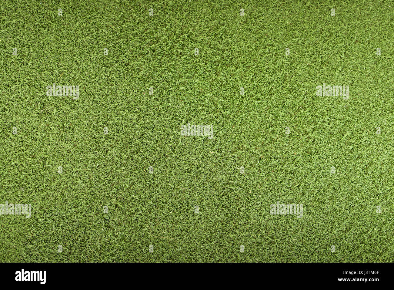 Plan of green grass hi-res stock photography and images - Alamy