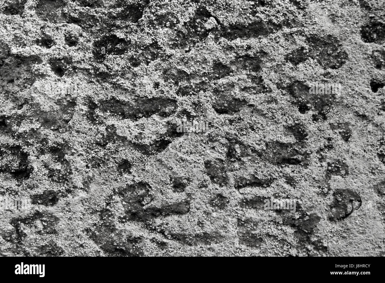 Black and white stone texture Stock Photo