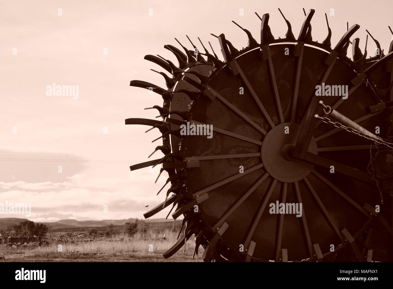 Old Hay Rake Stock Photo