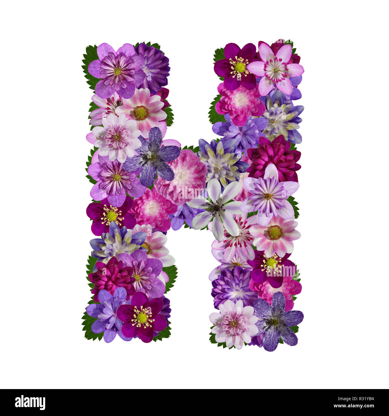 flowers alphabet letter h Stock Photo