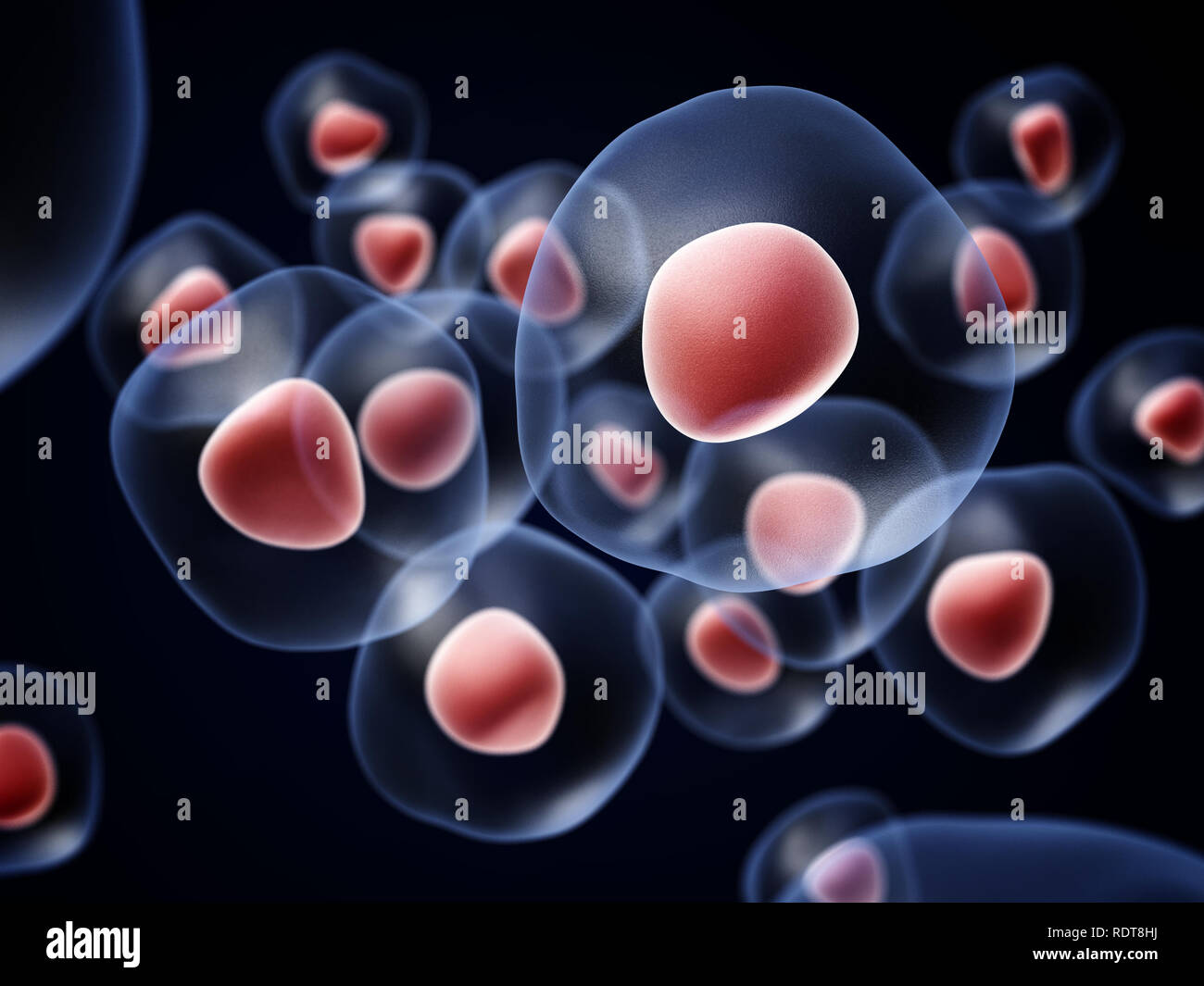 Cells Stock Photo