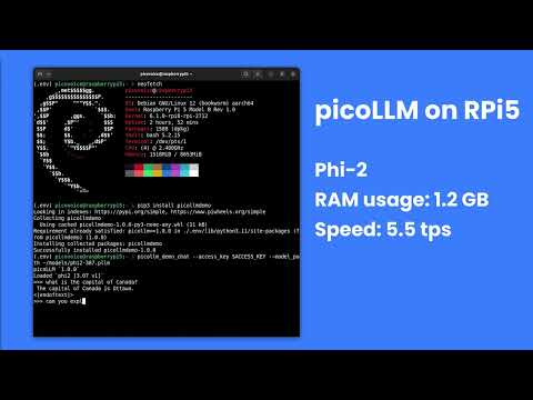 Local LLM on Raspberry Pi