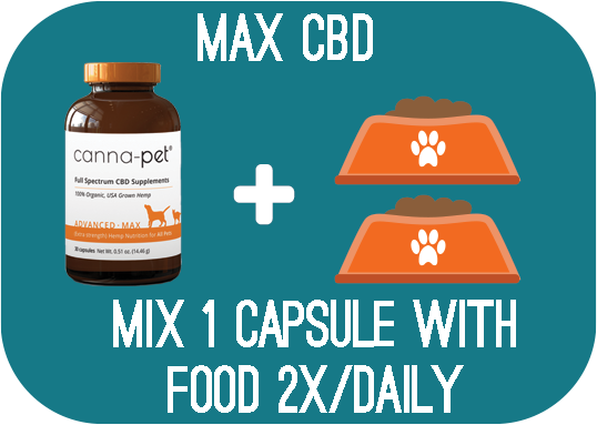 Capsules: Canna-Pet® Advanced MaxCBD – 30 capsules - Mix 1 capsule with food 2x daily