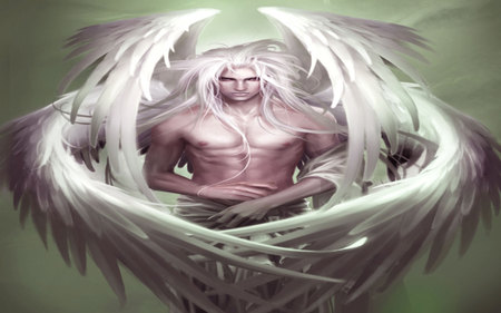 Featured image of post White Hair Anime Angel Male Hanbee has white silvery hair hazel eyes and is small in height