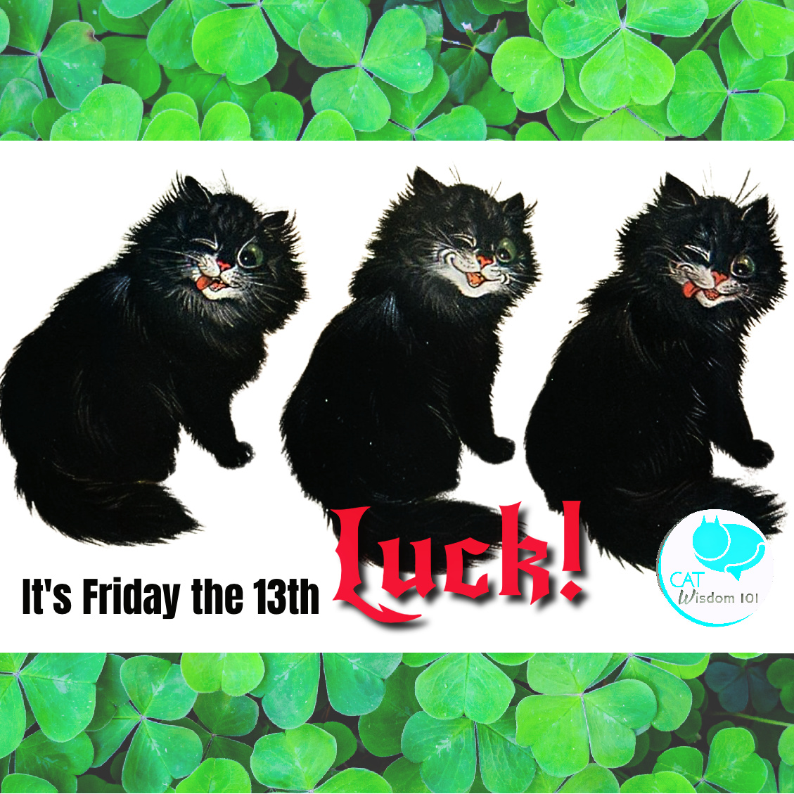 friday the 13th cat