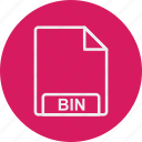 bin, file, format