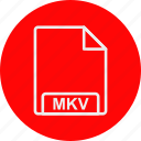 file, format, mkv