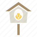 bird, birdhouse, chicken, nest, sparrow, spring