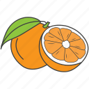 citrus, diet, food, fruit, orange