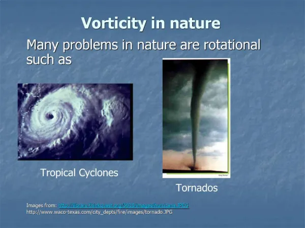 Vorticity in nature