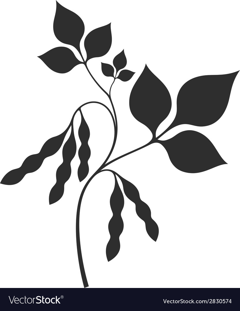 Soybean Royalty Free Vector Image - VectorStock