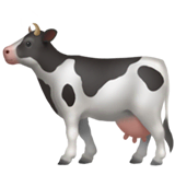 Cow on Apple