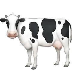 Cow on Facebook