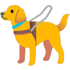 Guide Dog on Google