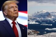 denmark trump greenland why buy who owns