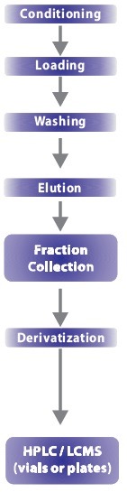 SPE-flowchart