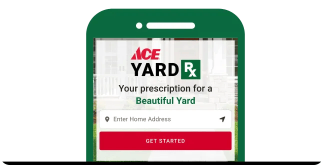 Get your prescription