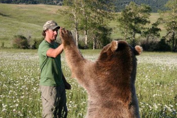 Animals Giving a High Five (31 pics)