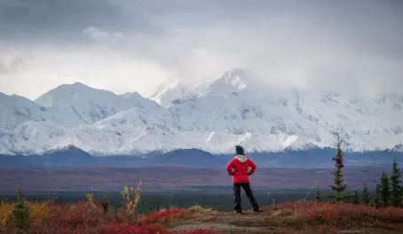 Enjoy a hike to try to see Denali