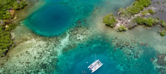 Explore the wonder of coral reefs