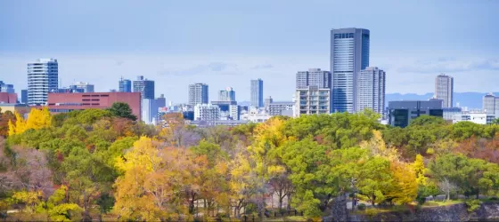 Colorful trees in Osaka