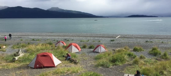 Campsite in Homer