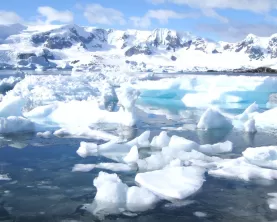 Iceberg Flow during Trip to the Antarctic Peninsula