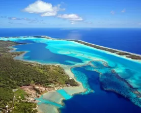 Snorkel the clear waters of Tahiti