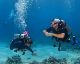 Scuba diving in the reefs