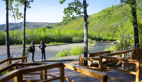 Creek views at Denali Backcountry Lodge