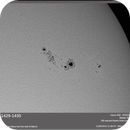 Active Region AR 1429-1430, Koen Dierckens