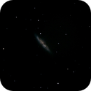 M 82, Koen Dierckens