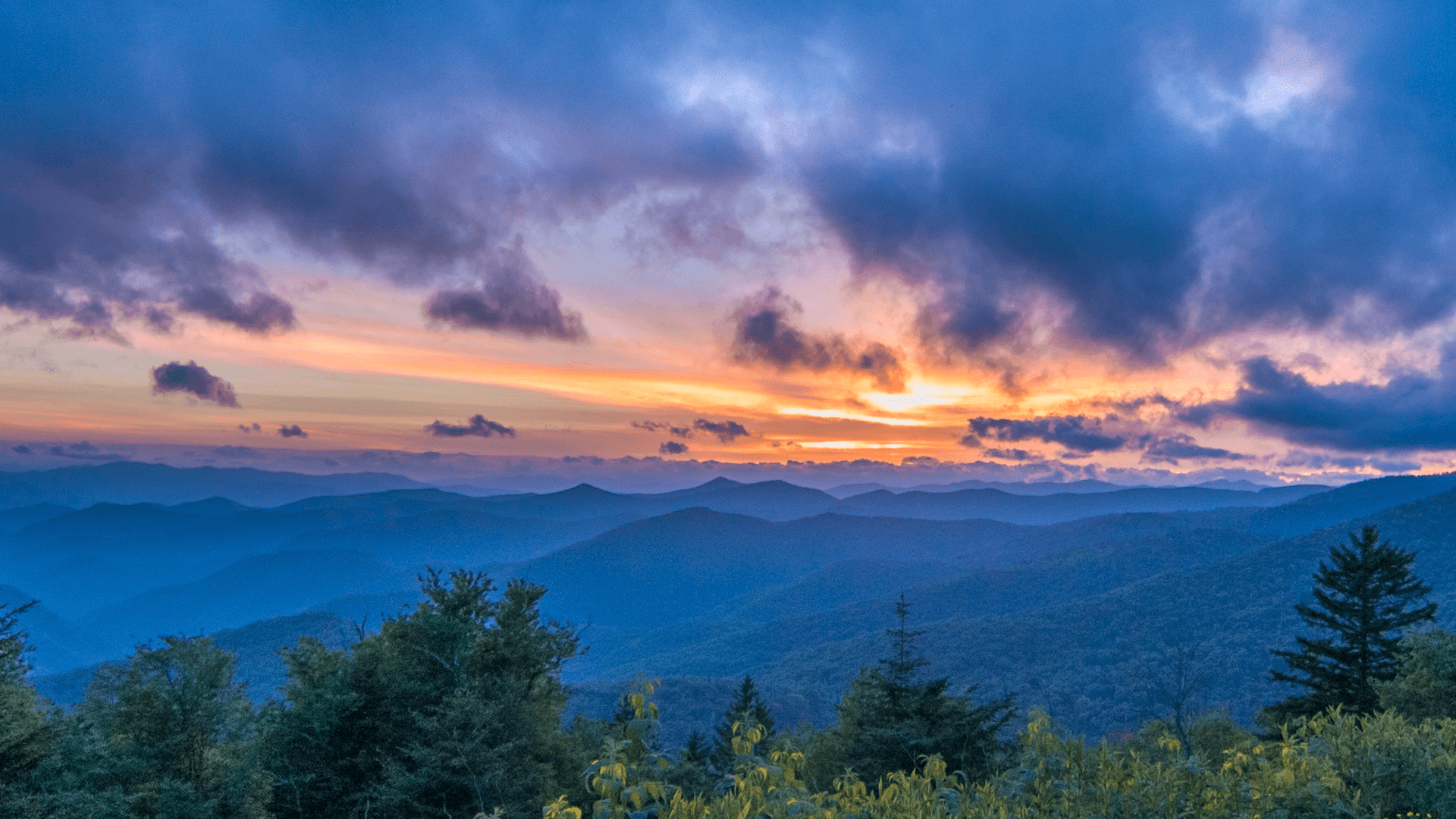 North Carolina