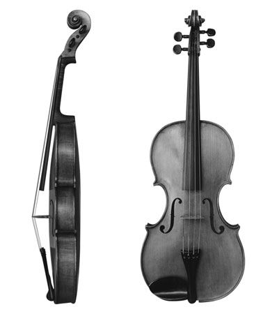 Viola, side and front views