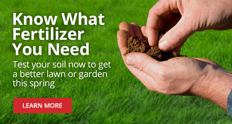 Test Your Soil to Know What Type of Fertilizer Your Lawn or Garden Needs - Learn More