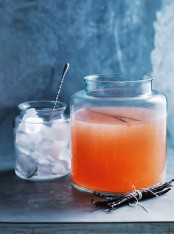 grapefruit vodka punch