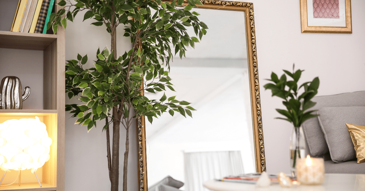 Mirror and a plant in a living room corner.