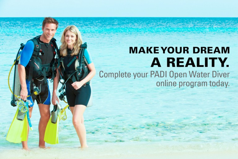 Unlocking Knowledge: A Deep Dive into PADI eLearning