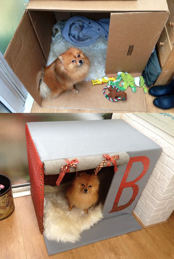 Diy doghouse