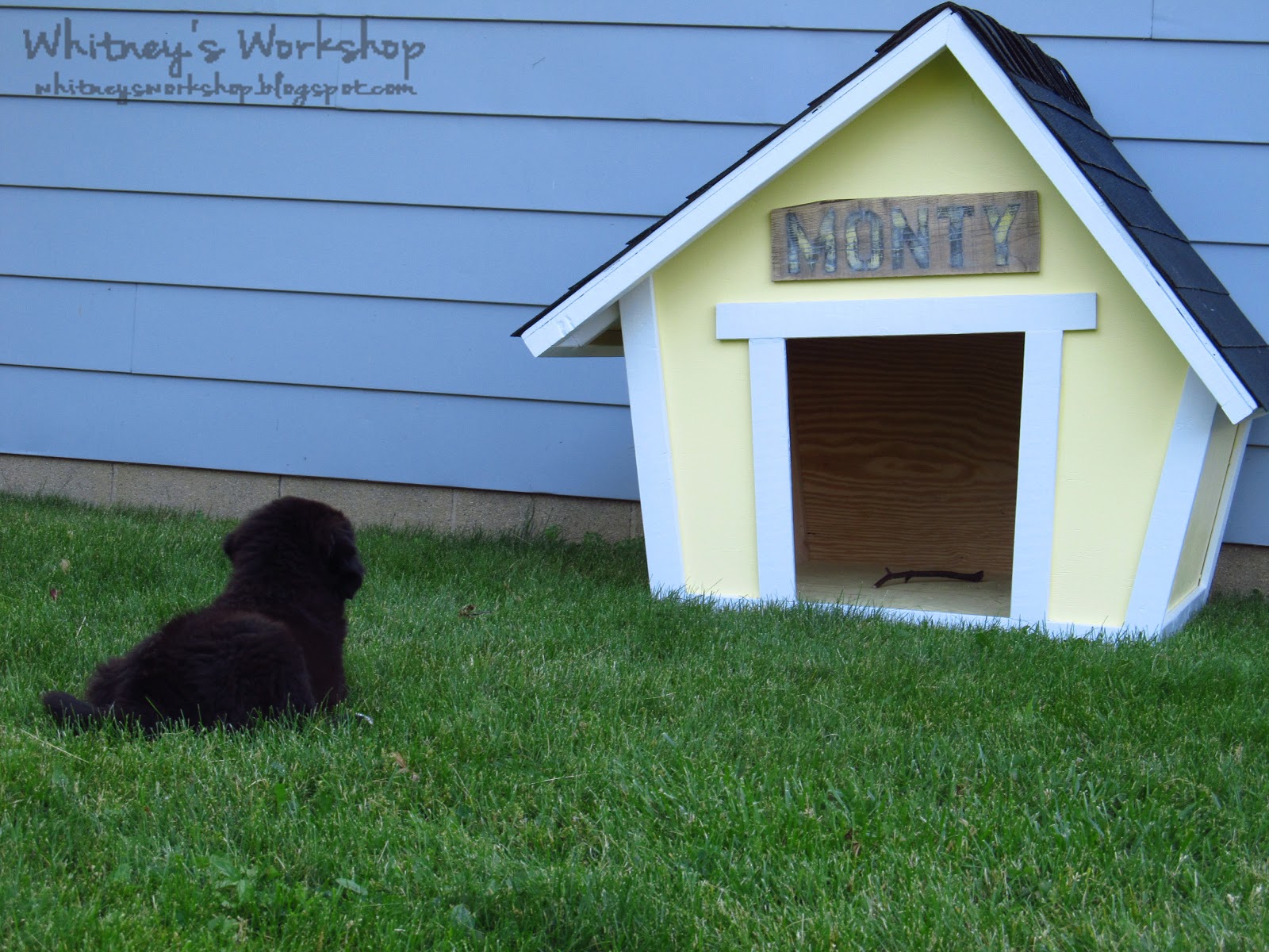 Diy doghouse