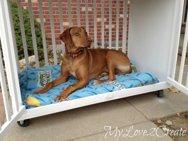 Diy dog house crib