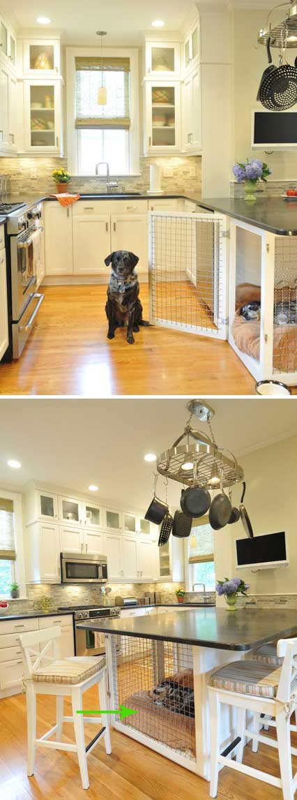 Diy inside doghouse